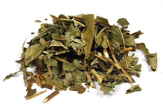 Frêne Bio feuille qualité extra coupée