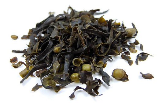 Fucus Varech Vesiculeux