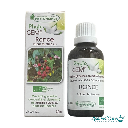 Macérat Phyto'gem Concentré de Bourgeons de Ronce 40ml