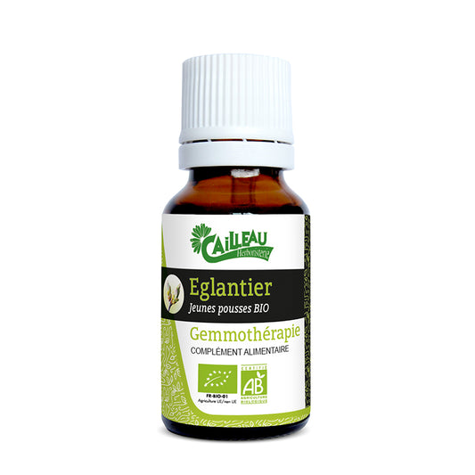 Églantier Gemmothérapie Bio 15ml CAILLEAU – macérat jeunes pousses Rosa canina vitamine C reminéralisant artisanal français