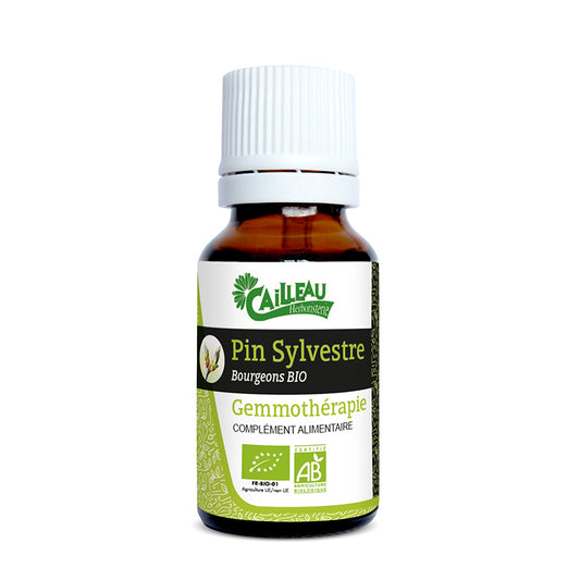 Macérat de bourgeons de Pin Sylvestre bio 15ml Gemmothérapie Cailleau - L'ApoTea'Care