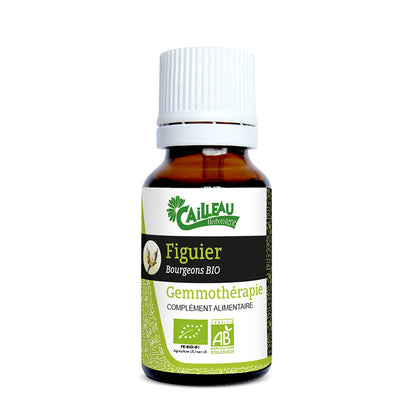 Figuier Gemmothérapie Bio 15ml CAILLEAU – macérat bourgeons Ficus carica relaxation confort digestif artisanal français