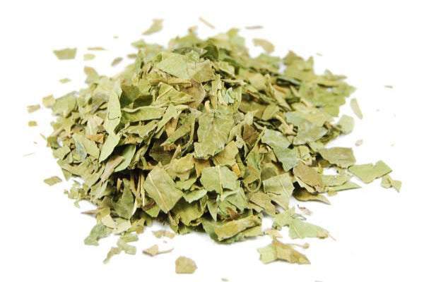 Gymnema Sylvestris Feuille Coupée