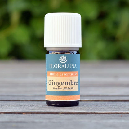 Huile Essentielle Gingembre