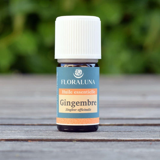 Huile Essentielle Gingembre