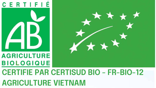 Vigne Rouge Bio Feuille Coupée