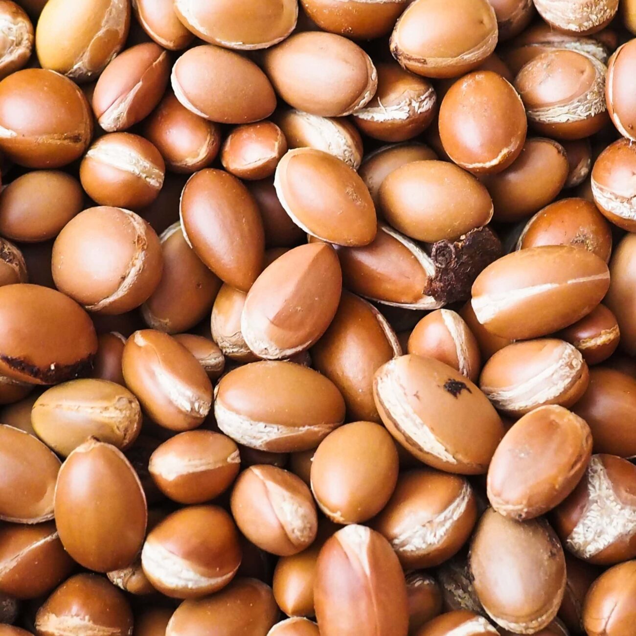 Huile Argan Bio