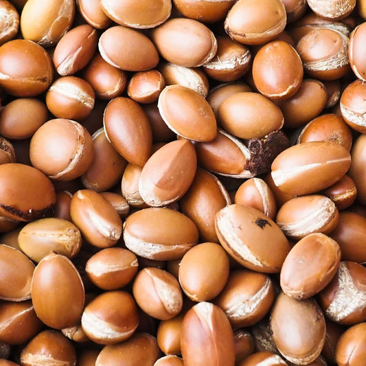 Huile Argan Bio
