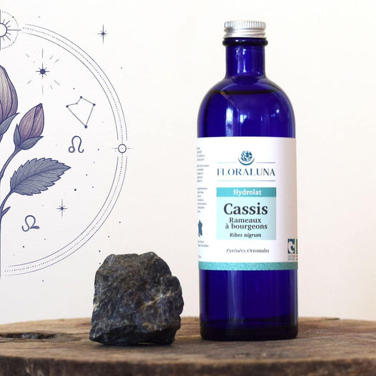 Hydrolat Cassis 200ml