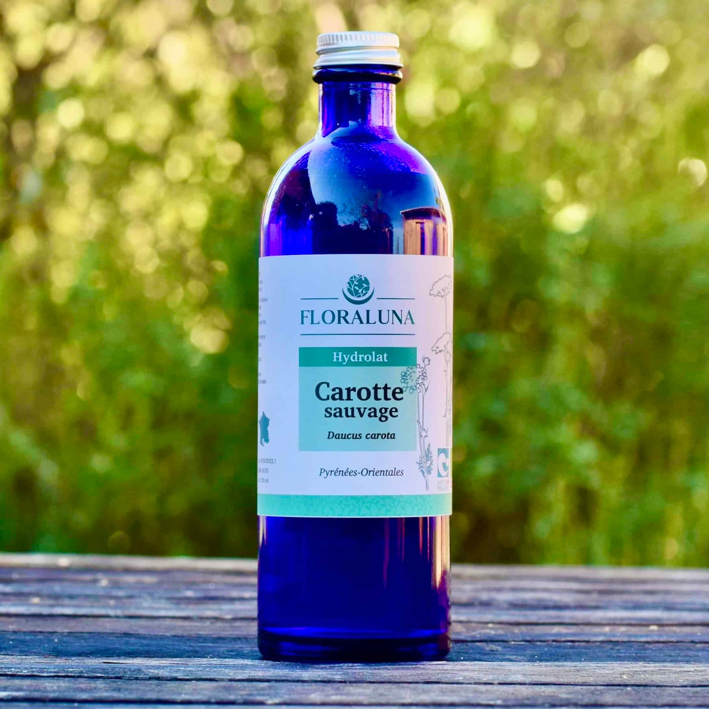 Hydrolat Carotte Sauvage 200ml