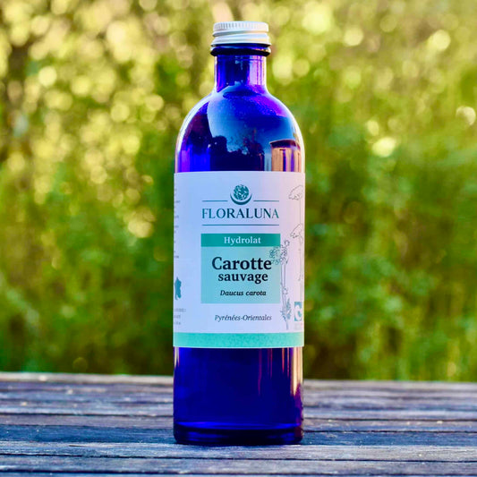 Hydrolat Carotte Sauvage 200ml