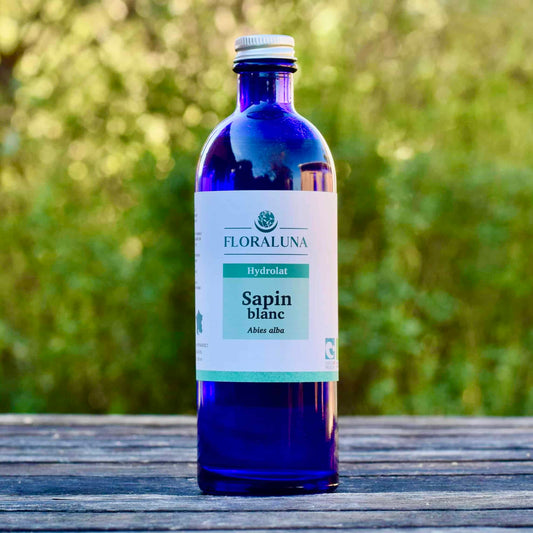 Hydrolat Sapin Blanc 200ml