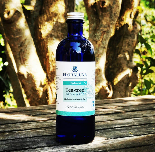 Hydrolat de Tea-Tree 200ml