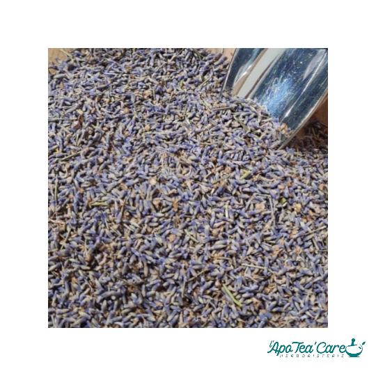Lavande Tisane Bio Premium - Fleurs Qualité Supérieure L'ApoTea'Care