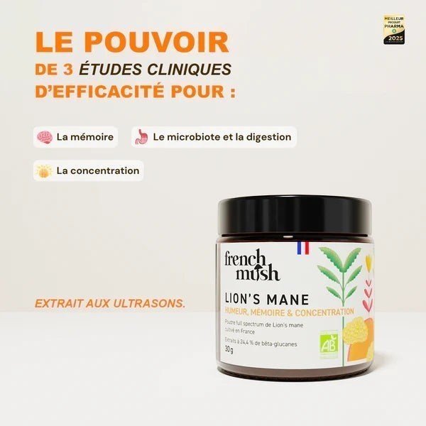 Poudre de Lion's Mane pour soutenir la mémoire et la concentration chez L'ApoTea'Care