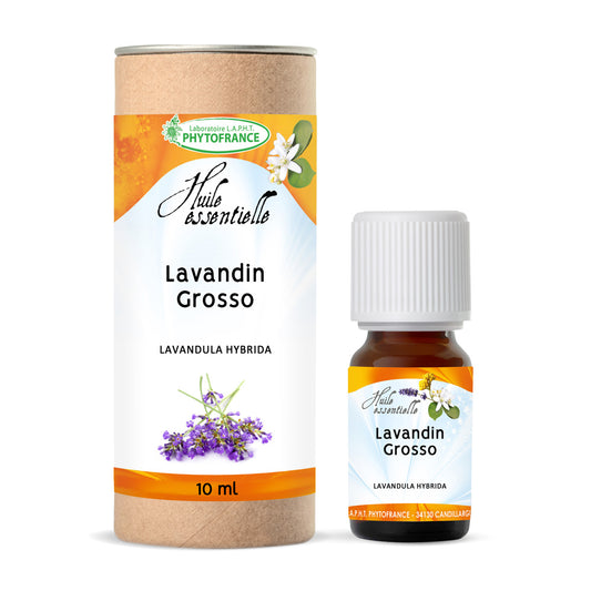 Huile Essentielle Lavandin Grosso 10ml