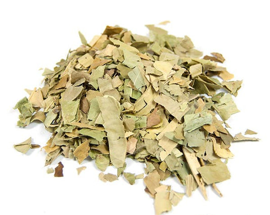 Oranger Bigaradier Feuille Triée