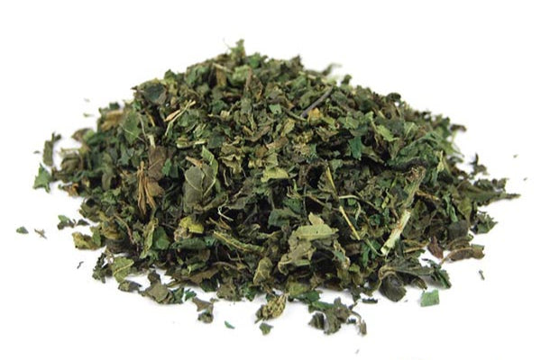 Ortie Piquante Bio Feuille Coupée