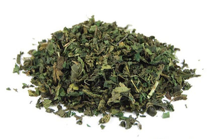 Ortie Piquante Bio Feuille Coupée