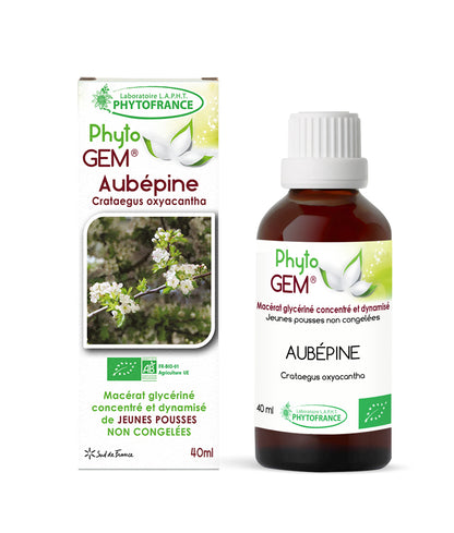 Macérat Phyto'gem Concentré de Bourgeons Aubépine BIO 40ml PhytoFrance