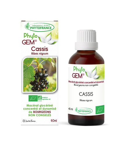 Macérat Phyto’gem Concentré de Bourgeons de Cassis BIO 40ml PhytoFrance