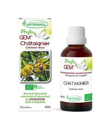 Macérat Phyto’gem Concentré de Bourgeons Chataignier BIO 40ml PhytoFrance