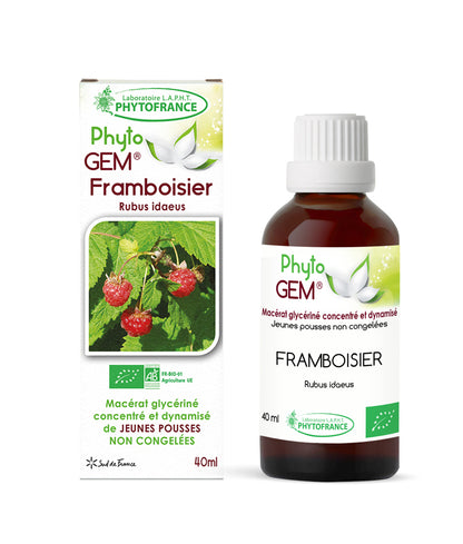 Macérat Phyto'gem Concentré de Bourgeons Framboisier BIO 40ml PhytoFrance