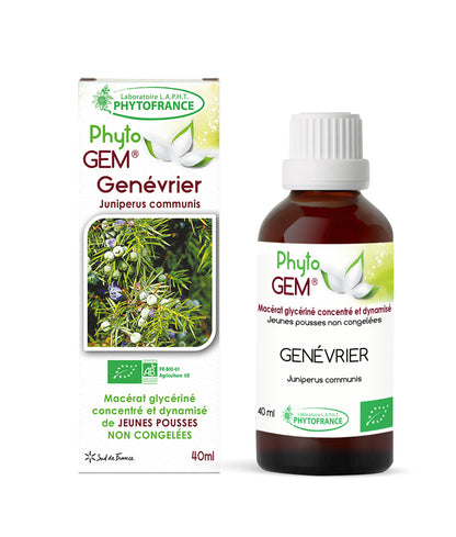 Macérat Phyto’gem Concentré de Bourgeons Genévrier BIO 40ml PhytoFrance