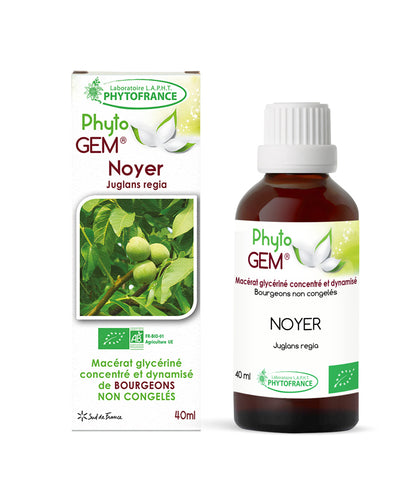 Macérat Phyto’gem Concentré de Bourgeons Noyer BIO 40ml PhytoFrance