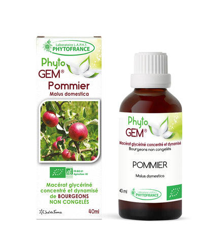 Macérat Phyto’gem Concentré de Bourgeons Pommier BIO 40ml Détox et Vitalité