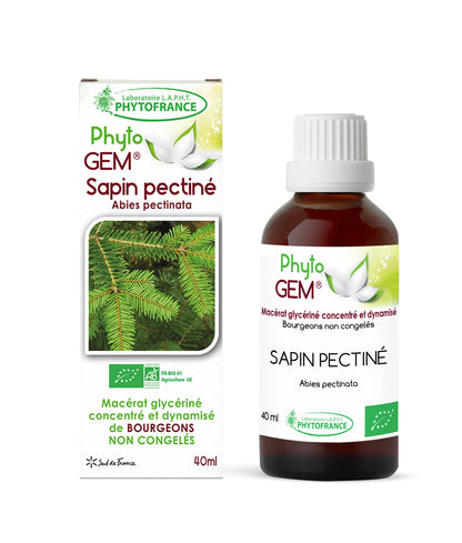 Macérat Phyto’gem Concentré de Bourgeons Sapin Pectiné BIO 40ml PhytoFrance