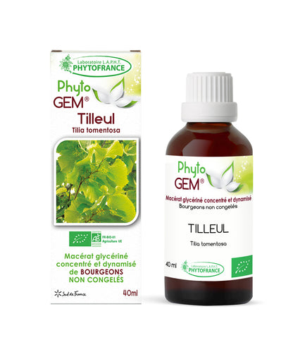 Macérat Phyto’gem Concentré de Bourgeons Tilleul BIO 40ml PhytoFrance