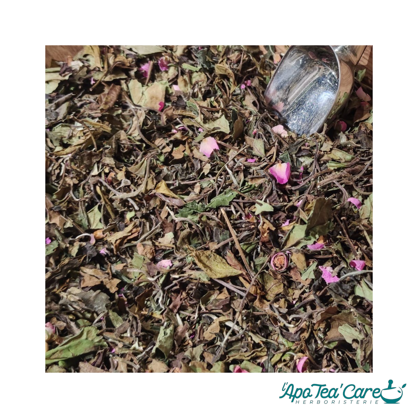 Thé blanc Bai Mu Dan et boutons de Rose de Damas en vrac — infusion florale artisanale L'ApoTea'Care
