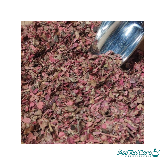 Vigne Rouge Bio - L'ApoTea'Care Herboristerie 