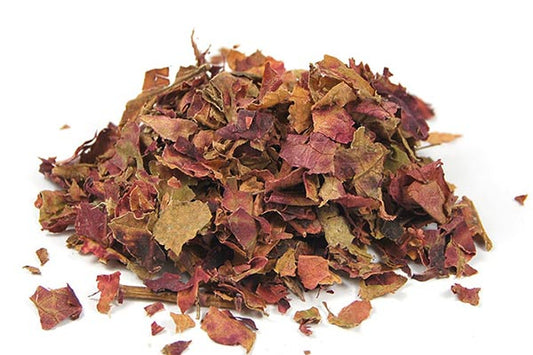 Vigne Rouge Bio Feuille Coupée