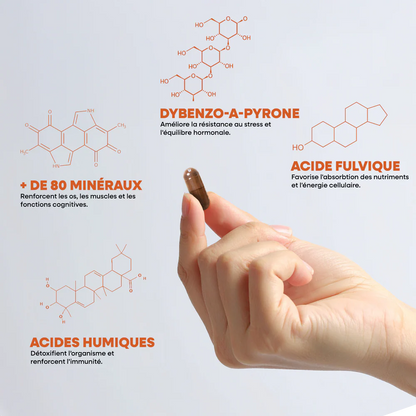 Shilajit Pur en Gélules