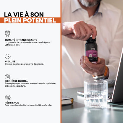 Shilajit Pur en Gélules