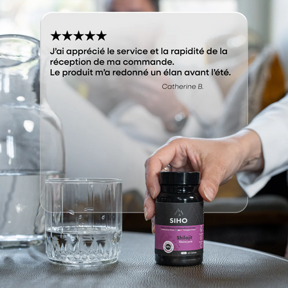 Shilajit Pur en Gélules
