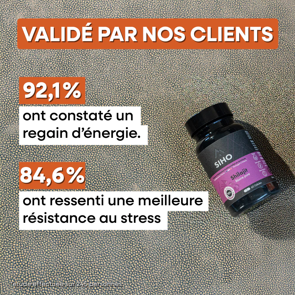 Shilajit Pur en Gélules