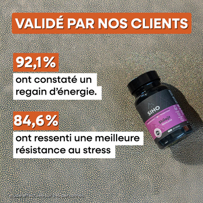 Shilajit Pur en Gélules
