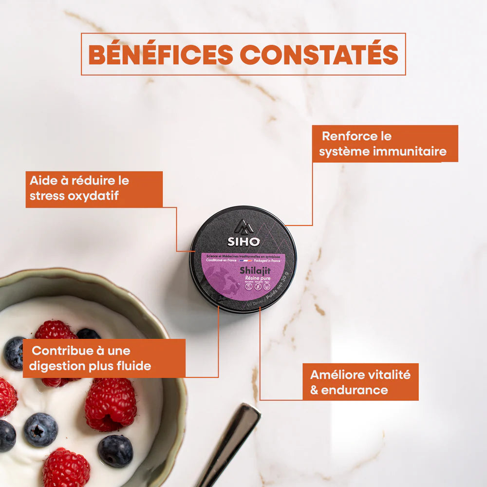 Résine de Shilajit : Pure 100%