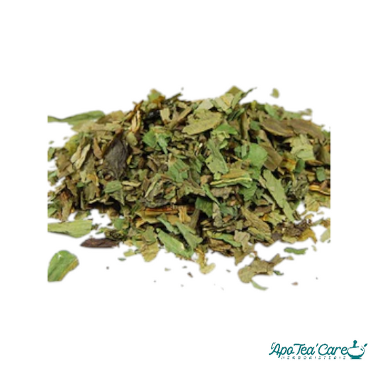 Ail Des Ours Feuille Coupée