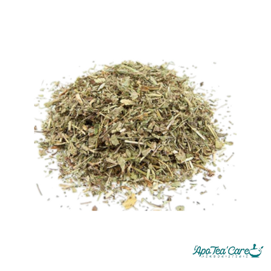 Alchemille Vulgaire Partie Aérienne Coupée