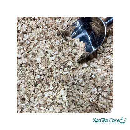 Angélique Fruit - Digestion et Immunité