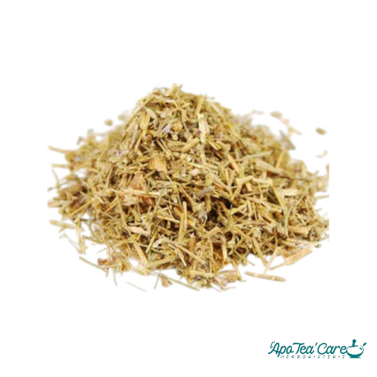 Arenaria Rubra (Sabline Rouge) Partie Aérienne Coupée