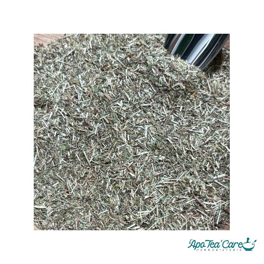 Aspérule Odorante Part Aérienne Coupée- Digestion et Détente