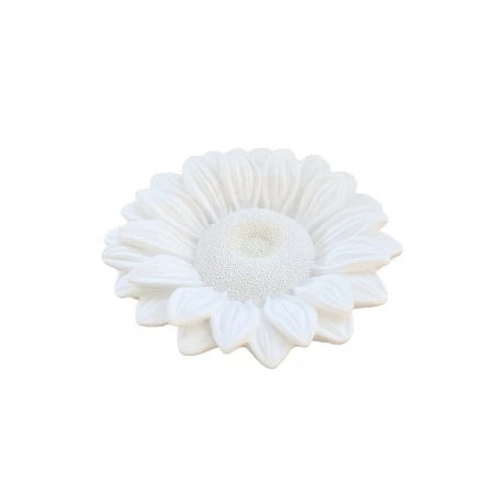 Diffuseur en Plâtre Astelia