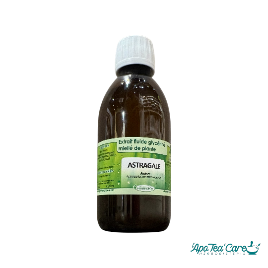 Extrait Fluide Glycériné Miellé Astragale Bio - Vitalité Immunité PhytoFrance