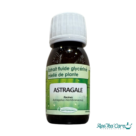 Extrait fluide glycériné Astragale bio 60ml PhytoFrance – vitalité et immunité – L'ApoTea'Care Herboristerie Perpignan