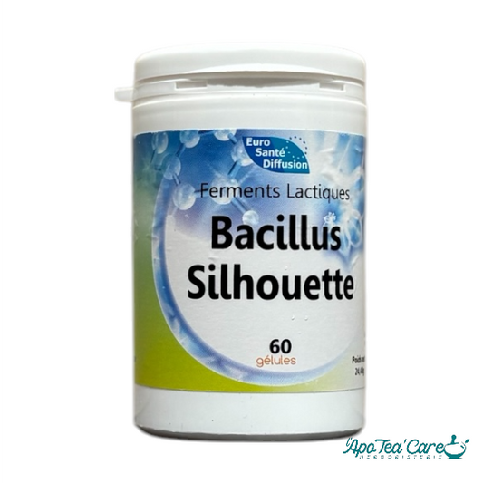 Bacillus Silhouette – Ferments lactiques 60 Gelules